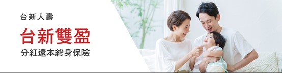 台新雙盈banner