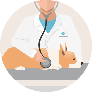 寵物醫療費用保險